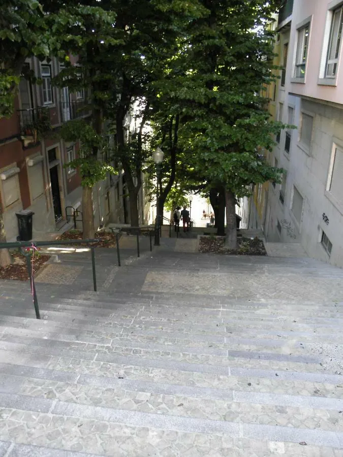 Sunny Orange Garden Apartment In Central Lisbon