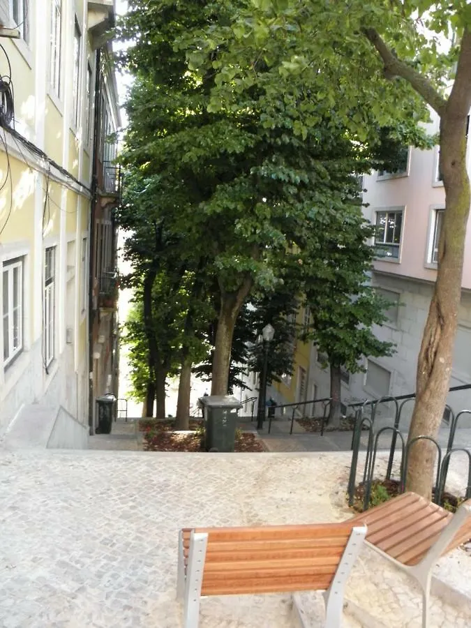 Sunny Orange Garden Apartment In Central Lizbona