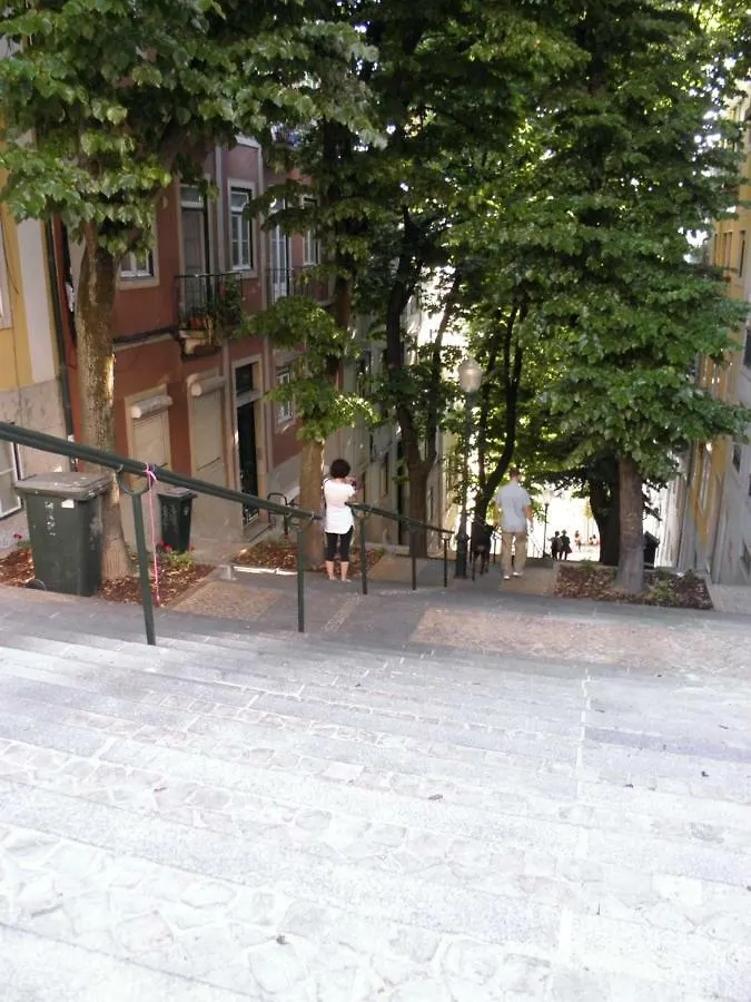Sunny Orange Garden Apartment In Central Lizbona 0*,