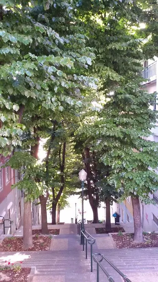 Sunny Orange Garden Apartment In Central Lizbona