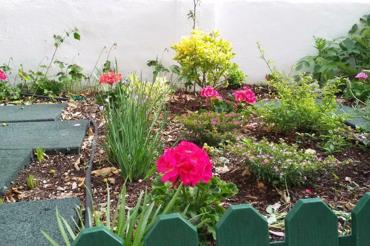 Sunny Orange Garden Apartment In Central Lisboa