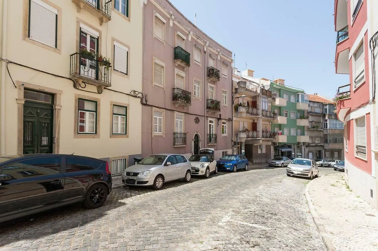Sunny Orange Garden Apartment In Central Lisboa