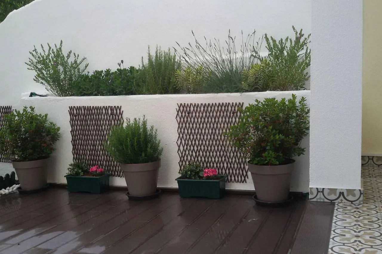 Sunny Orange Garden Apartment In Central Lisboa 0*,