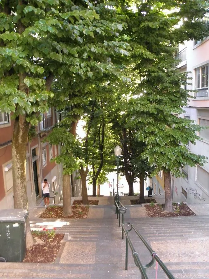 Sunny Orange Garden Apartment In Central Lisboa